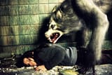 Werewolf_Ginger2