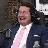 alex stein