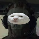 seriouscat
