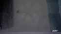 makshowerfog_thumb.jpg