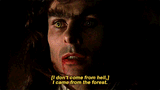 The Company of Wolves (1984)