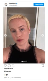 a brie