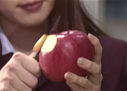 apple_thumb.jpg