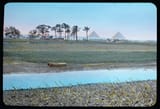 Egypt._Pyramids._The_land_of_Goshen_with_pyramids_in_the_distance
