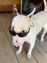 FB_IMG_1746177635020