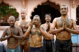 india-cow-poop