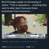 BLM Leaders Endorsing Violence and Looting