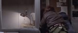 The Thing 1982