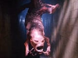 The-Engineer-in-Hellraiser