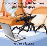 bugs