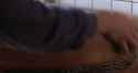 1485576112251_thumb.jpg