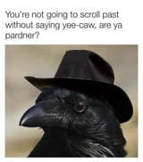 jdTaR9ng