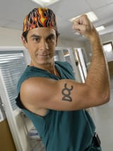 the todd