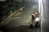 hobo activity