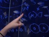 digits-with-big-mak