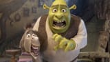 shreks reaction to his own movie