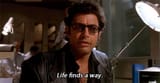 jurassicpark