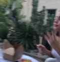 1749188974075180_thumb.jpg