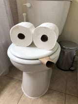 toiet pepe