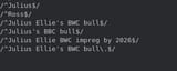 Screenshot from 2025-07-11 11-20-36