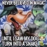 1000005160