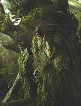 250px-Treebeard_jpg