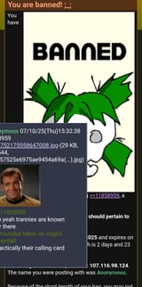 Screenshot_20250710_155404_Brave
