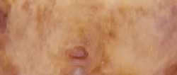1752133623176_thumb.jpg