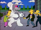 bear want to live