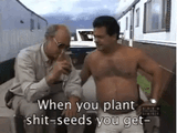 Shitweeds