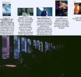 Snydermonkeys