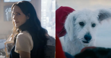 lois-lane-rachel-brosnahan-krypto-the-superdog-superman-dc-universe
