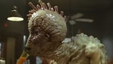 mugwump1