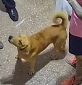 1738685778606666