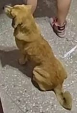1736446629367632