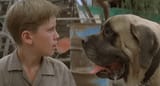 The-Sandlot-Dog