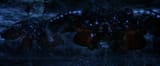 vlcsnap-2025-07-11-22h12m46s403