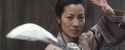 crouching tiger 1696415196092170_thumb.jpg