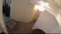 Jackass ceiling fan_thumb.jpg