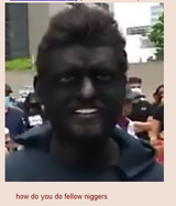 Fellow N