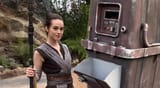 rey