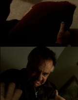 PaulePillow