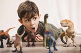 portrait-of-little-boy-playing-with-toy-dinosaurs-JRFF04417