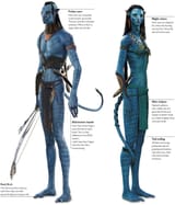 Navi_Physiology