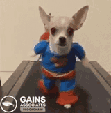 super puppy