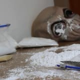 alien coke