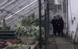 Scum1979GreenhouseScene