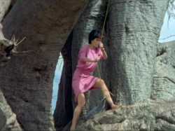 gods-must-be-crazy-2-rope-rappel-fail_thumb.jpg