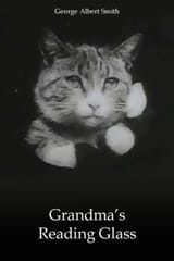 130543-grandma-s-reading-glass-0-1000-0-1500-crop