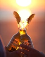 coronasalud